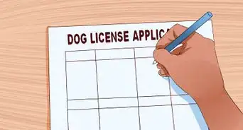 Get a Dog License in Pennsylvania