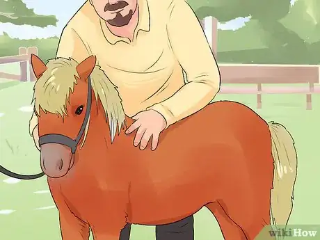 Image titled Care for a Miniature Horse Step 12