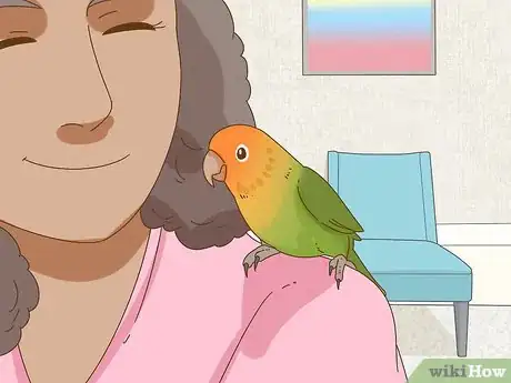 Image titled Keep a Lovebird As a Pet Step 23
