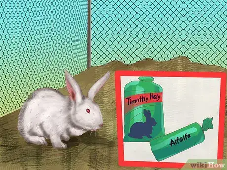 Image titled Design a Rabbit Playground Step 8