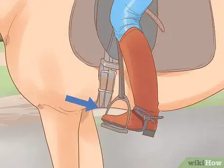 Image titled Control and Steer a Horse Using Your Seat and Legs Step 3