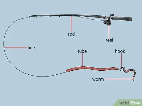 Image titled Catch Striped Bass Step 12