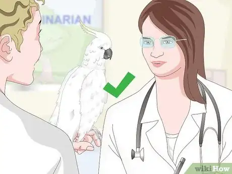 Image titled Take Care of Cockatoos Step 17