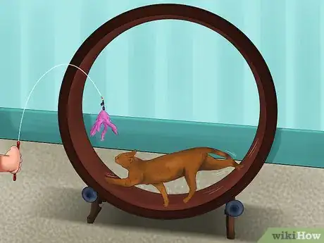 Image titled Get an Exercise Wheel for Your Cat Step 8
