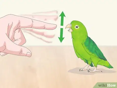 Image titled Interact with Your Parrotlet Step 8