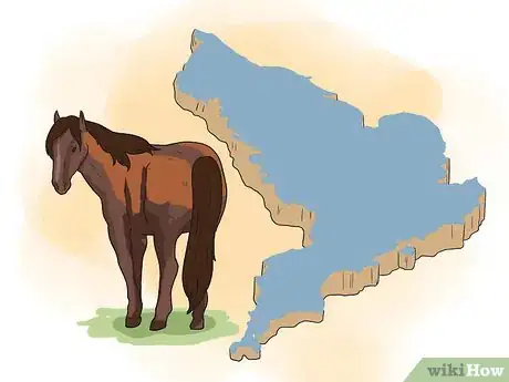 Image titled Find Wild Horses Step 10