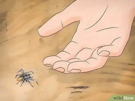 Image titled Kill Spiders when You Have Arachnophobia Step 12