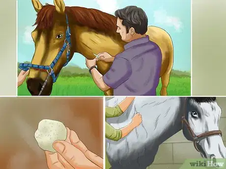 Image titled Vaccinate Horses Step 8