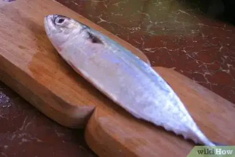 Image titled Fillet a Mackerel Step 1