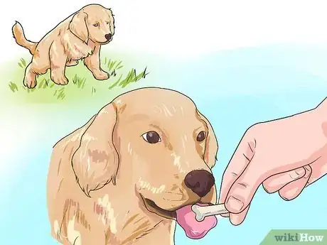 Image titled Train a Golden Retriever Puppy Step 15