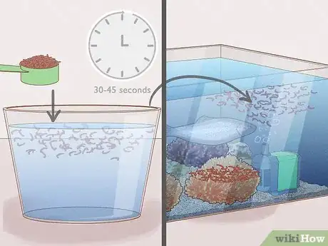 Image titled Grow Bloodworms Step 15
