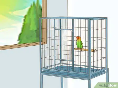 Image titled Keep a Lovebird As a Pet Step 10