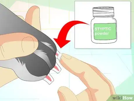 Image titled Trim Your Rabbit's Nails Step 9