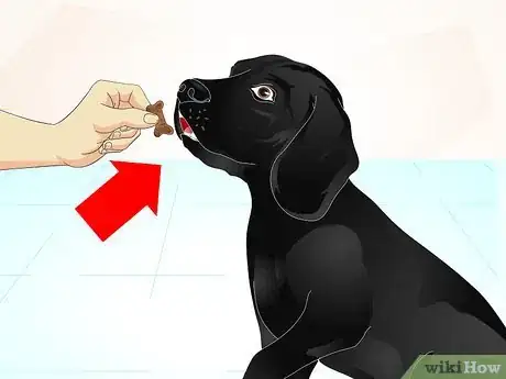 Image titled Train a Naughty Labrador Step 9