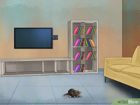 Image titled Get a Pet Rat Step 15