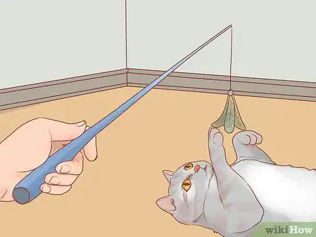 Image titled Stop Your Cat from Begging Step 9