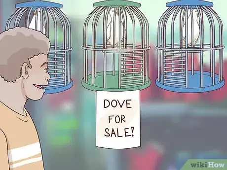Image titled Choose Pet Doves Step 6