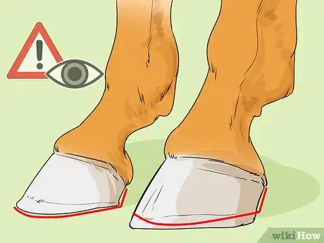 Image titled Ease Your Horse's Sore Hooves After Trimming Step 8