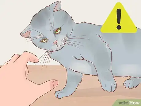 Image titled Hold a Cat Step 1