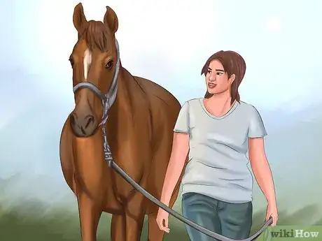 Image titled Get Your Horse to Trust and Respect You Step 8