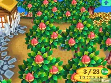 Image titled Make a Lot of Bells (Money) in Animal Crossing_ Wild World Step 58