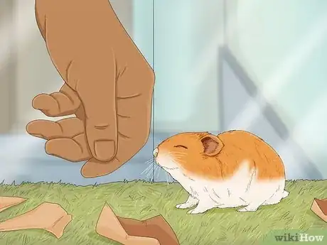 Image titled Train Your Hamster Step 14