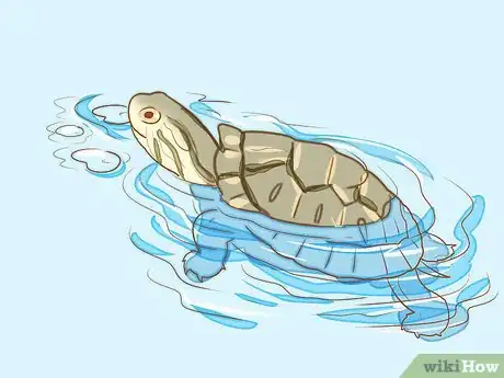 Image titled Take Care of Baby Water Turtles Step 20