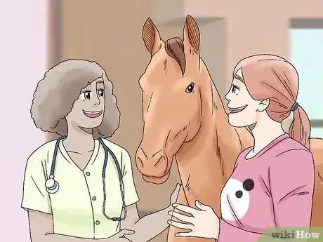 Image titled Treat Edema in Horses Step 12