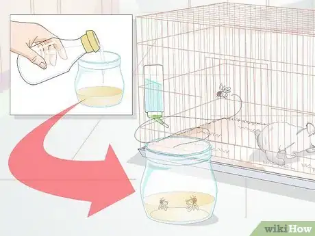 Image titled Keep Flies out of an Indoor Pet Cage Step 12