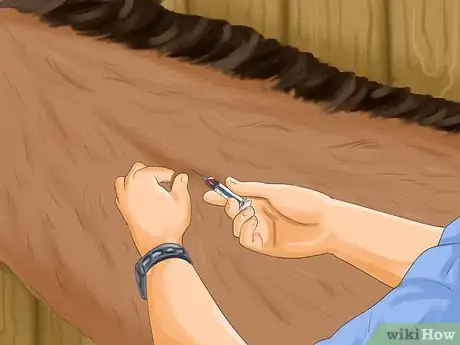 Image titled Vaccinate Horses Step 9