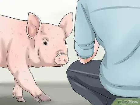 Image titled Increase the Weight of a Pig Step 13