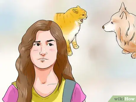 Image titled Make Your Dog Like Your Cat Step 1