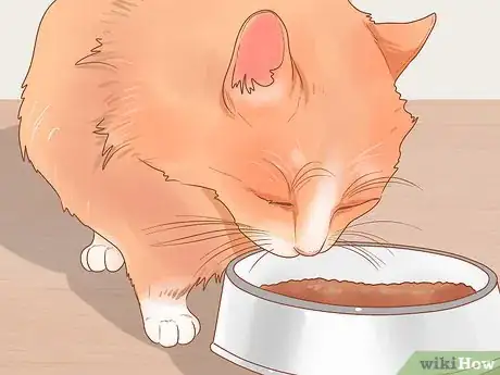 Image titled Stop Your Cat from Begging Step 3