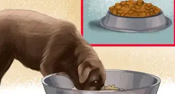 Make Dog Food