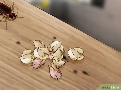 Image titled Kill Cockroaches or Ants Without Pesticide Step 15