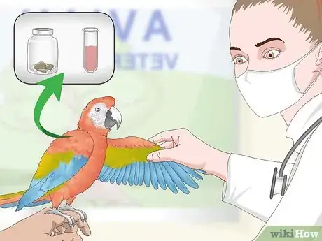 Image titled Stop a Macaw from Feather Picking or Chewing Step 1