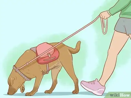 Image titled Stop a Dog from Jumping Up on Strangers Step 10