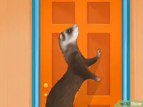 Image titled Decide if a Ferret Is the Right Pet for You Step 7