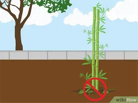 Image titled Grow Bamboo from Seed Step 15