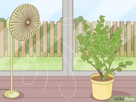 Image titled Get Rid of Fruit Flies in Plants Step 3