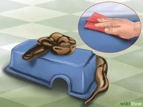 Image titled Care for Your Ball Python Step 14