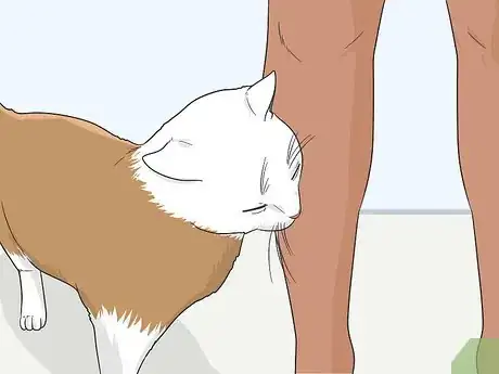 Image titled Gain a Cat's Trust Step 9