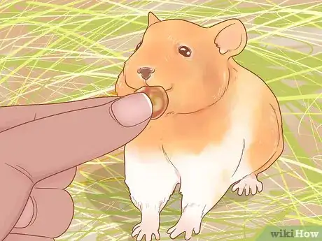 Image titled Pick up a Hamster for the First Time Step 11