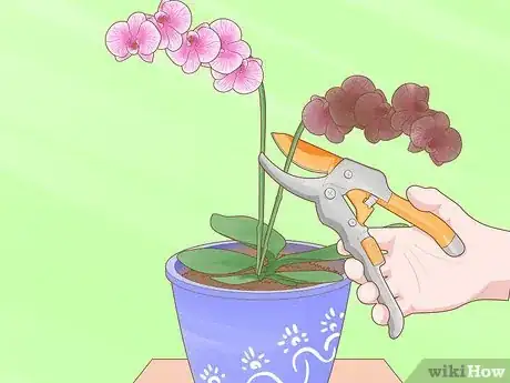 Image titled Perk Up Wilting Flowers Step 13