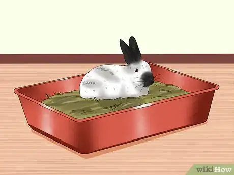 Image titled Care for Californian Rabbits Step 11