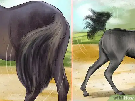 Image titled Understand Your Horse's Body Language Step 8