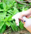 Get Rid of Animal Pests With Hot Pepper Spray