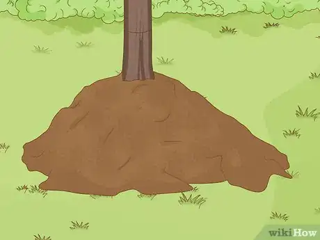 Image titled Grow a Plum Tree Step 10