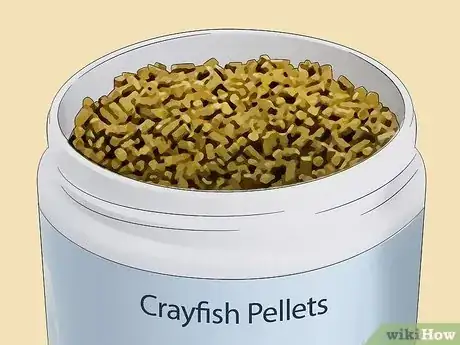 Image titled Set Up a Freshwater Crayfish Farm Step 15