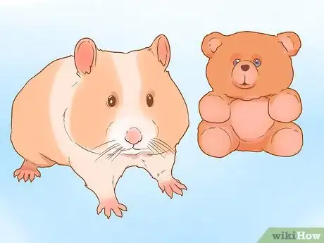 Image titled Decide Between Syrian and Dwarf Hamsters Step 3